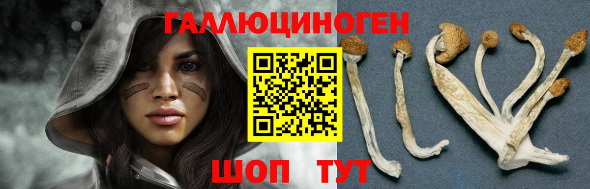 Таганрог  Галлюциногенные грибы Magic Shrooms  Вход с VPN 